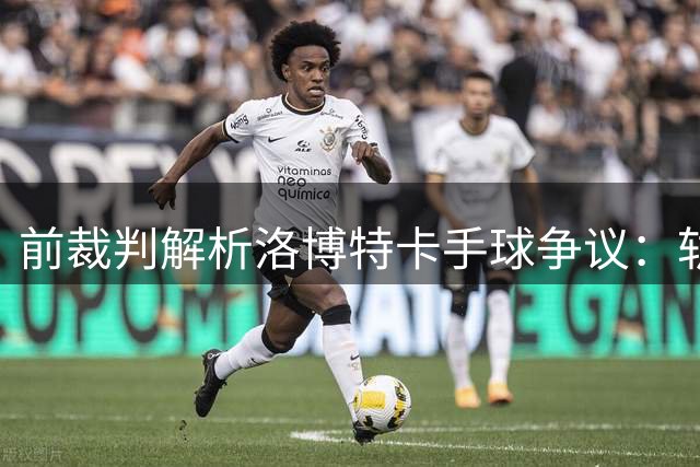 前裁判解析洛博特卡手球争议：轨迹未变故未判罚